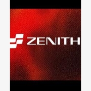 Zenith Enterprises 
